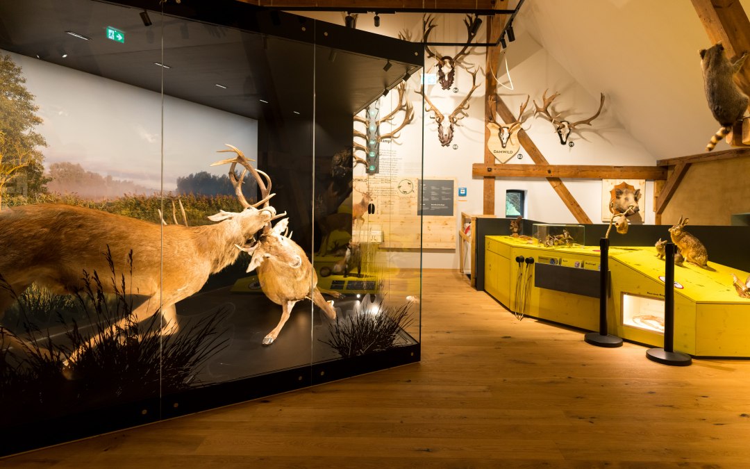 Forst- und Jagdmuseum (3)-min, © Moritz Kertzscher