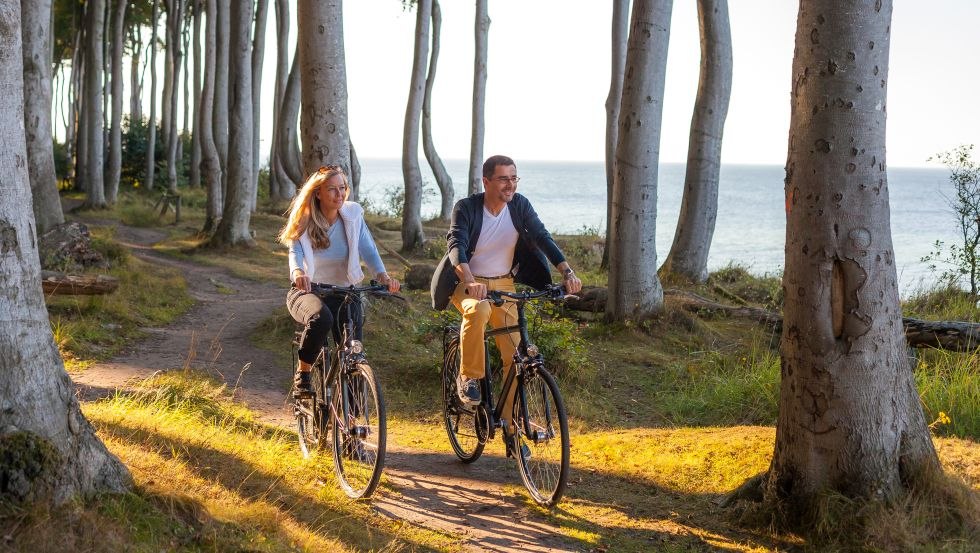 Fietstocht door het spookbos Nienhagen, © VMO, Alexander Rudolph