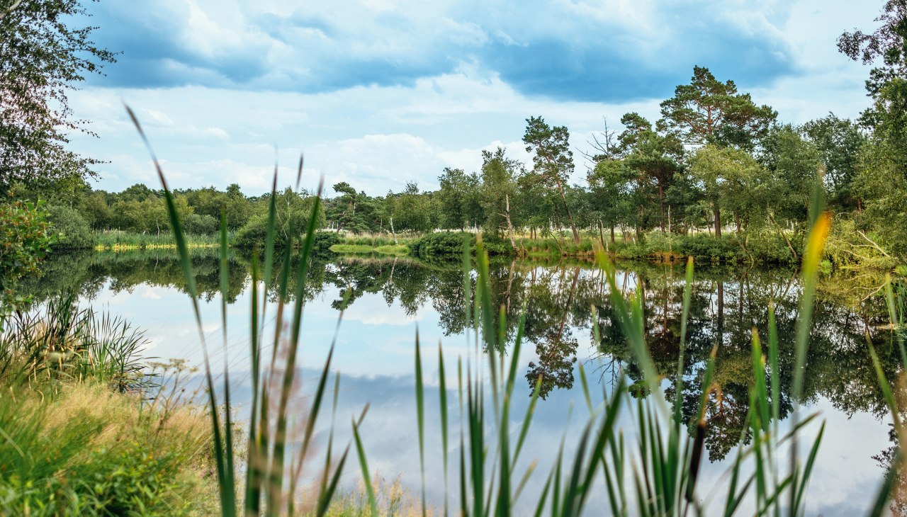 © TMV/Tiemann, Markus Tiemann © TMV/Tiemann, Markus Tiemann