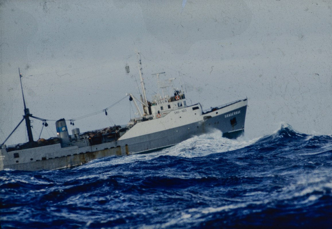 &copy; @ Joachim Blumenthal