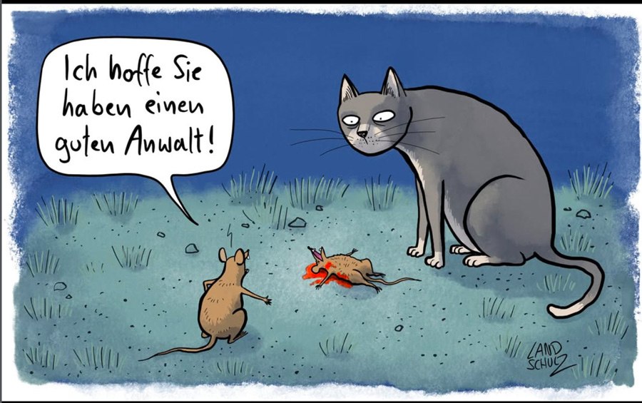 &copy; Dorthe Landschulz