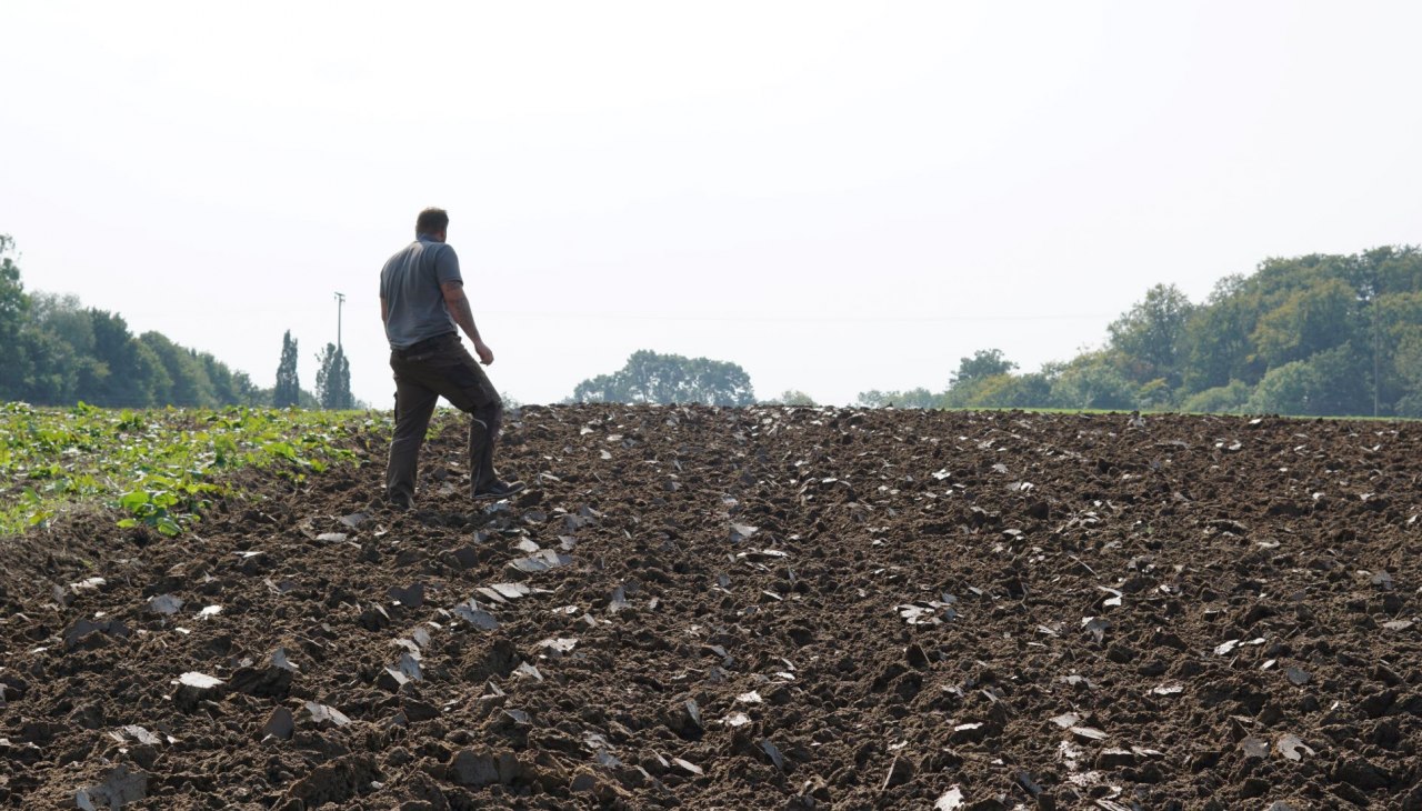 Akkerbouw als onderdeel van de circulaire economie, © A. Rossnagel
