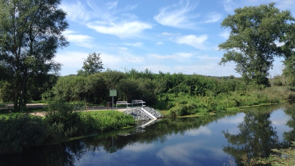 De eerste drempelvrije visplek in Mecklenburg-Vorpommern, © Claudia Thürmer (LAV)