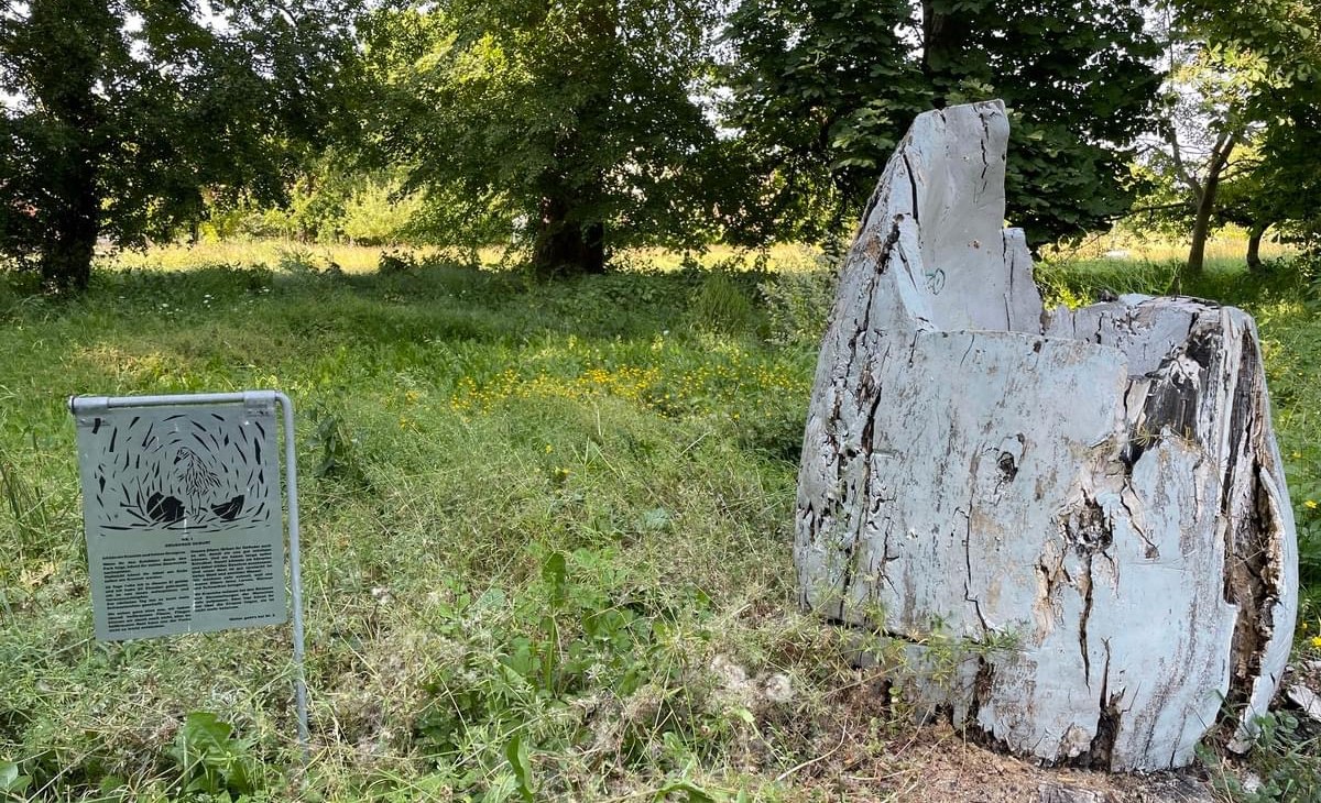 IMG_3618, &copy; TZ S&uuml;dliche Boddenk&uuml;ste