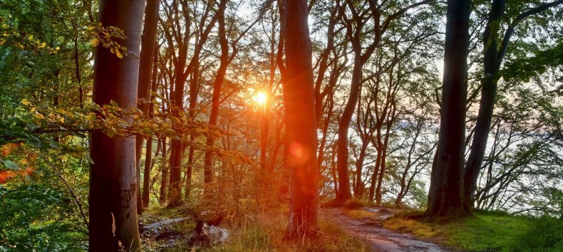 &copy; Kurverwaltung Goehren / Martin Stoever