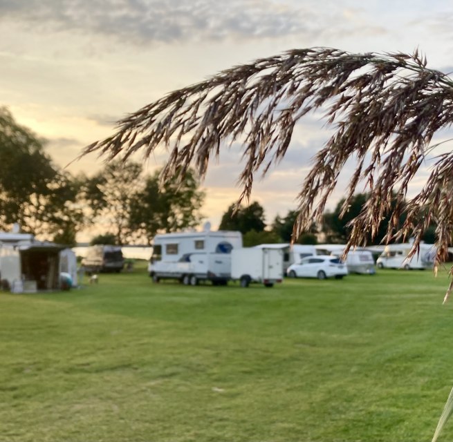 Eine der Campingwiesen... // &copy; Janine Kissel