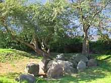 megalityczny_grobowiec_neu_gaarz_3