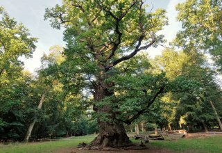 © Sebastian Haerter © Sebastian Haerter