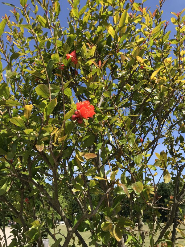 © Stadt Ludwigslust © Stadt Ludwigslust