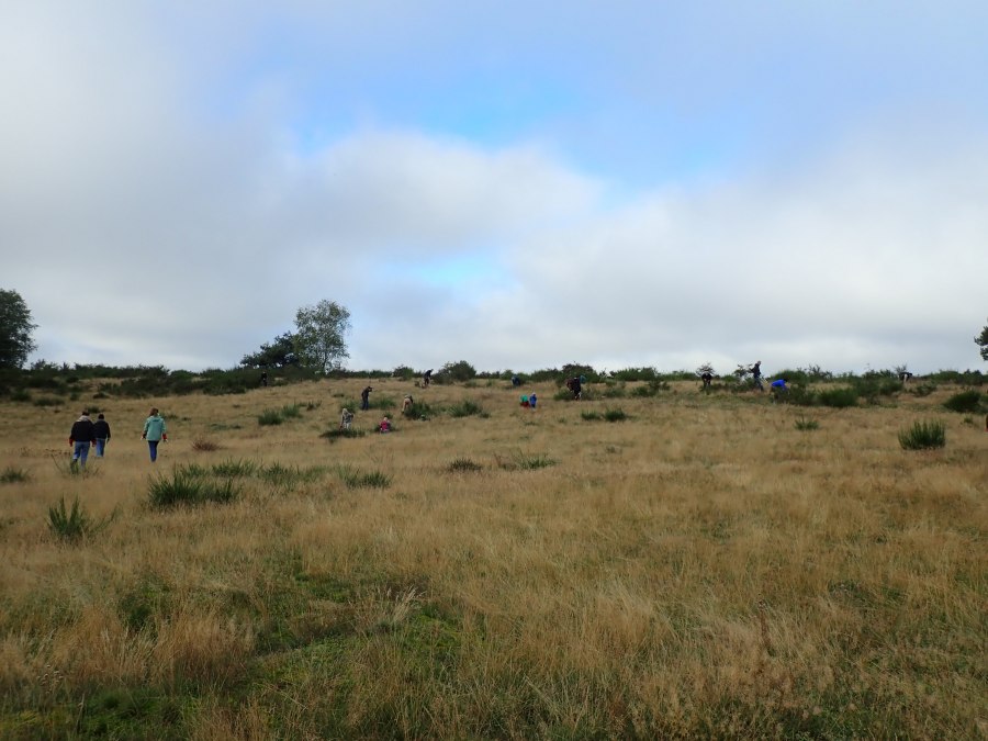 Work on the dry slopes of the Petersberg in Pinnow, © StUN