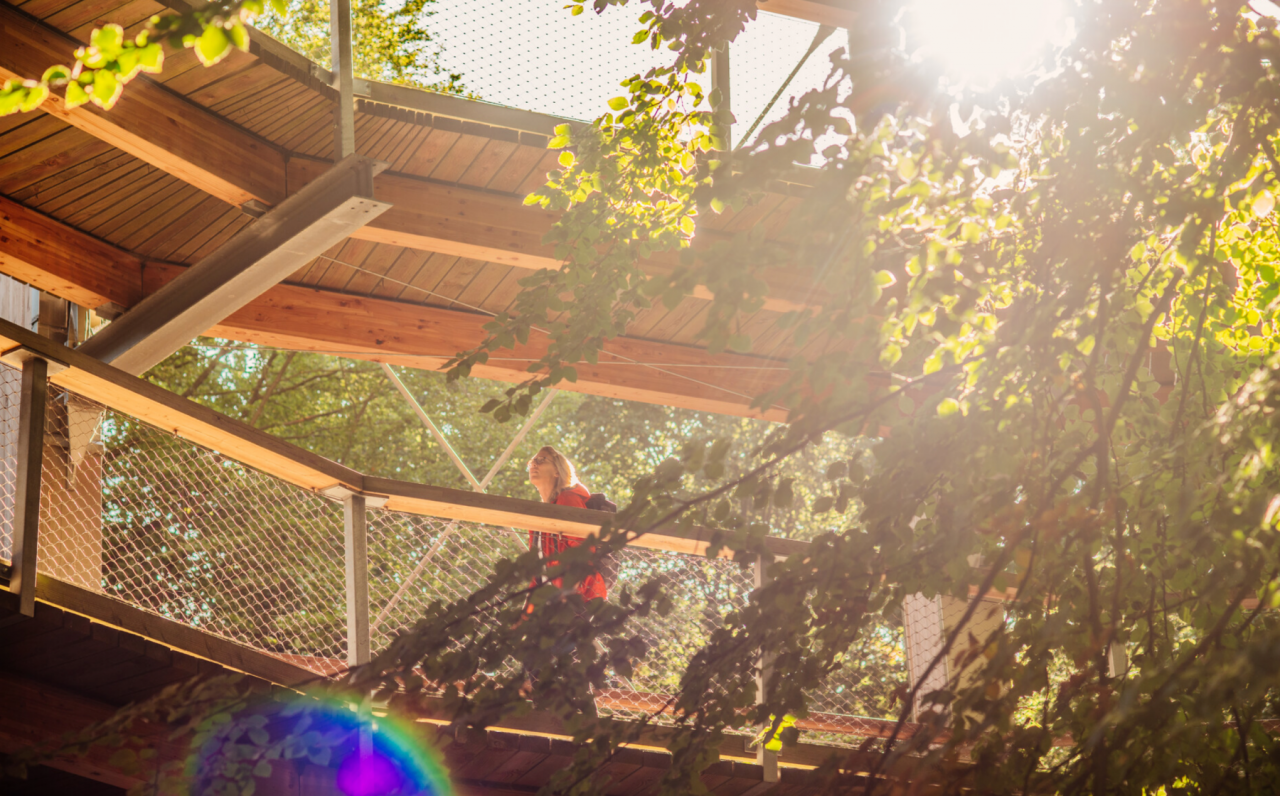 © Binzer Bucht Tourismus © Binzer Bucht Tourismus