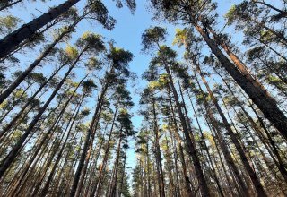 © 31190635-8a8b-405f-84f8-ce9f3a123454.jfif