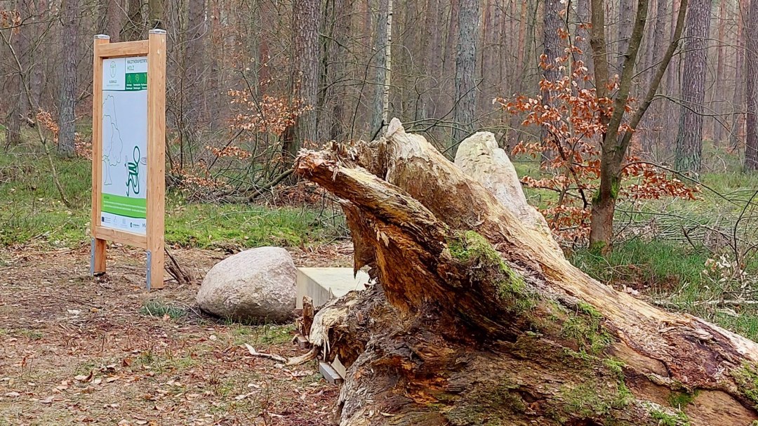 Kurwald 3 t.s., © Waren (Müritz) Kur- und Tourismus GmbH Kurwald 3 t.s., © Waren (Müritz) Kur- und Tourismus GmbH