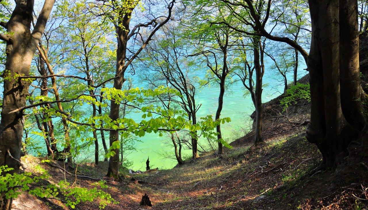 I_Stodian_Nationalpark_Jasmund__12_, &copy; Nationalparkamt Vorpommern