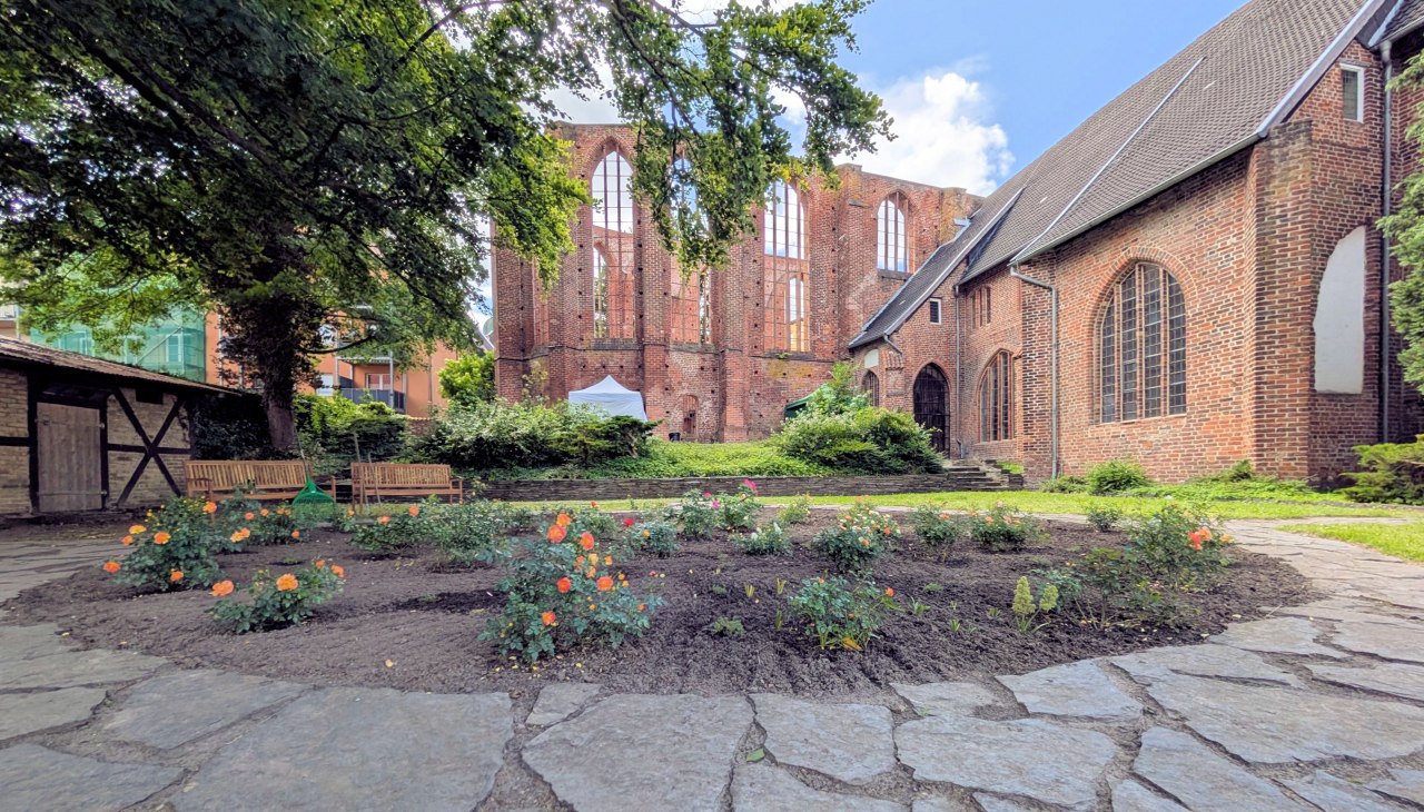 De rozentuin in het Johannesklooster - Image copyright_Bürgerkomitee 'Rettet die Altstadt Stralsund' e.V, © HANSESTADT Stralsund