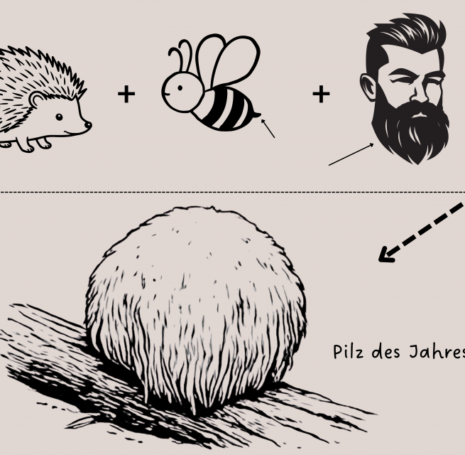 © Müritzeum © Müritzeum