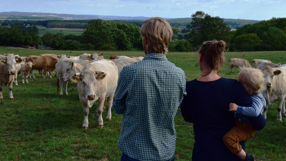 View of the suckler cow herd and the beautiful landscape of Mecklenburg Switzerland. // &copy; Mirja Peitz