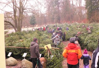 &copy; (c) Kurverwaltung &Uuml;ckeritz