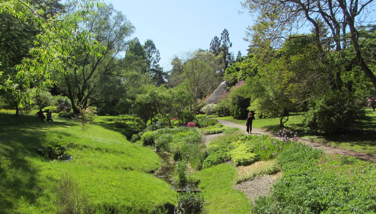 Botanische tuin Rostock, © Joachim Kloock