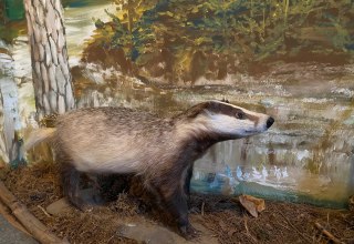 © Amt Mecklenburgische Kleinseenplatte © Amt Mecklenburgische Kleinseenplatte