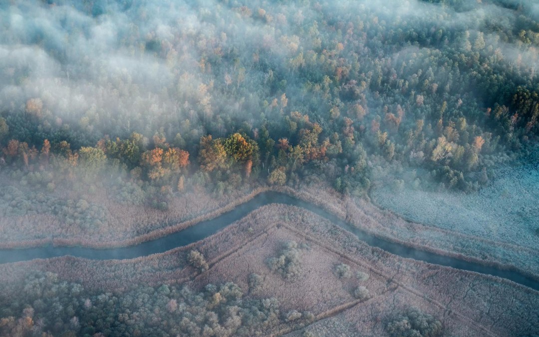 Lower Recknitz Valley near Camitz // &copy; TMV/G&auml;nsicke