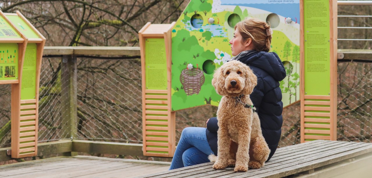 Schnuppertag: Mit dem Hund auf den Baumwipfelpfad, &copy; Erlebnis Akademie AG/NEZR