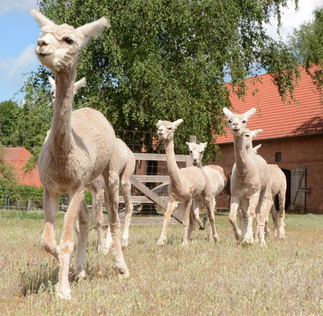 &copy; Tourismusverband Mecklenburg-Schwerin