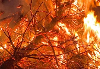 © Kurverwaltung Feldberger Seenlandschaft © Kurverwaltung Feldberger Seenlandschaft