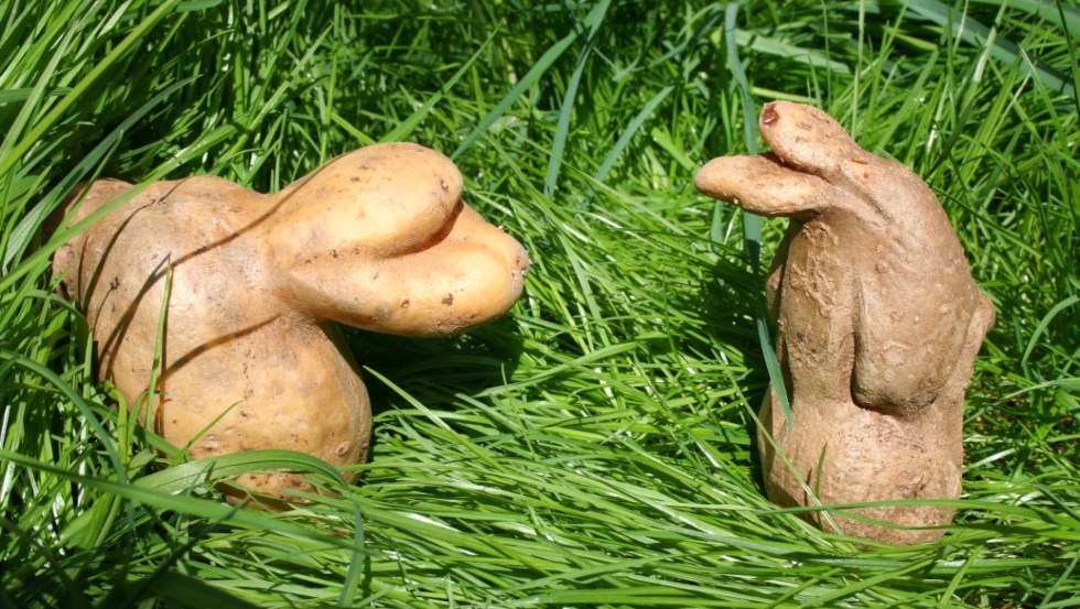 &copy; Elena Kolcova