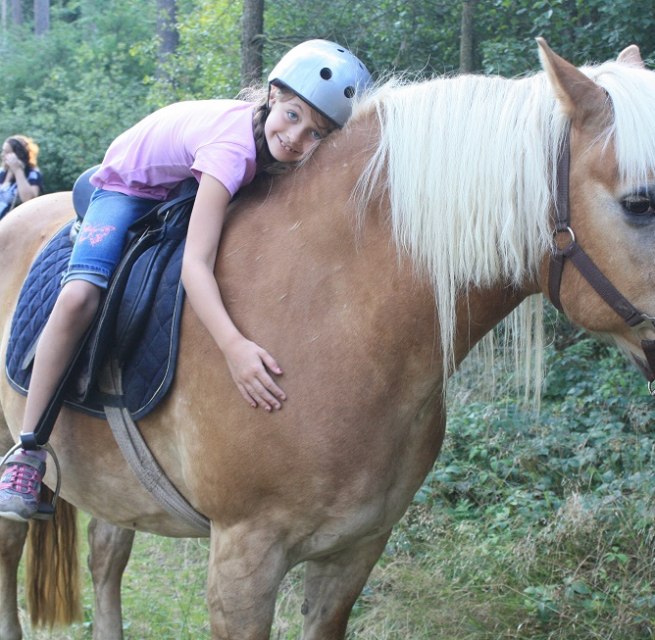 Voor de kleintjes zijn onze pony's geweldig - rustig in de omgang, betrouwbaar en veilig op het terrein., © Waldhof Bruchmühle