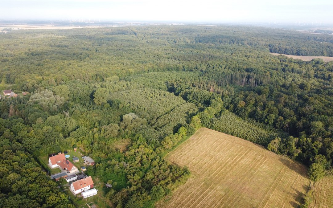 Klimaatbos Golchen, © Landesforst MV