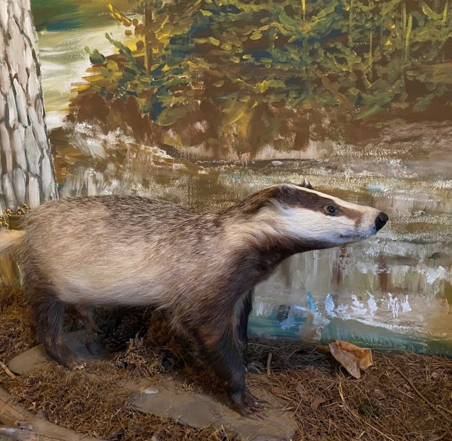 © Amt Mecklenburgische Kleinseenplatte © Amt Mecklenburgische Kleinseenplatte