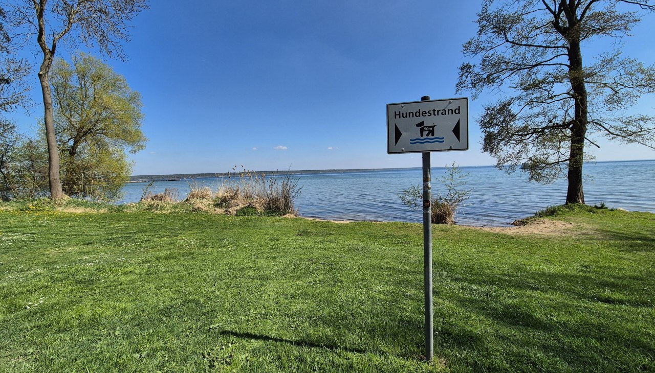 20250420_135333, © Gina Schulenberg