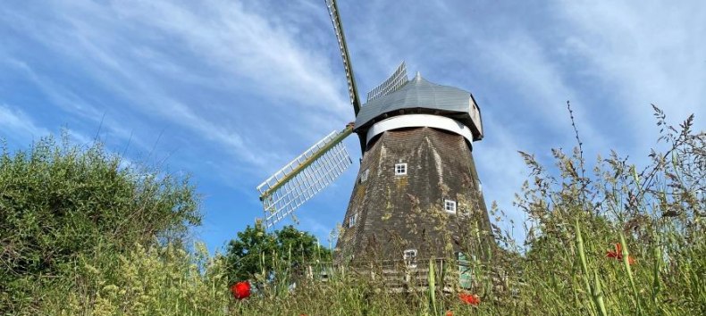 &copy; Sibylle B&ouml;hler