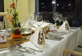 &copy; 08.11. Wildgala.JPG