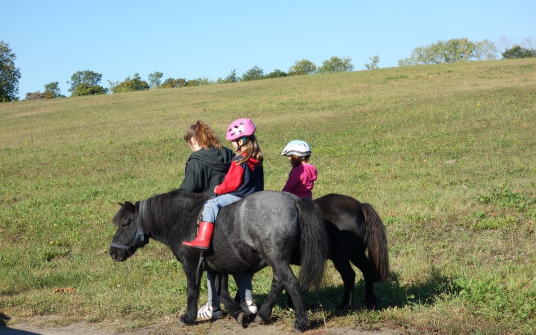 Lisa pony riding with Franklin and Tomy, © Anja Debniak