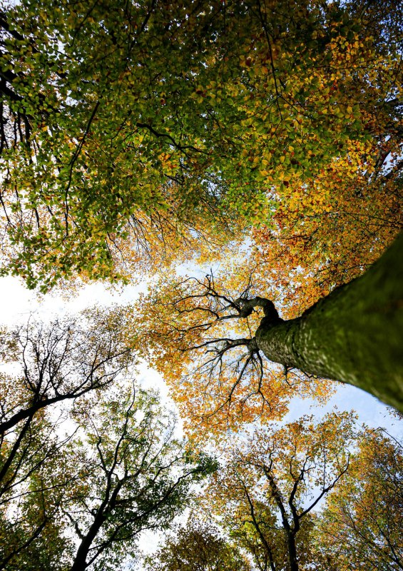 Under the canopy! // © Christina Blohm Under the canopy! // © Christina Blohm