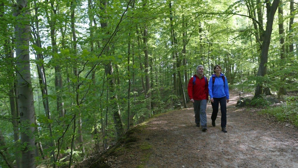 Het pad voert door diepe bossen langs de Warnow., © TMV/outdoor-visions.com