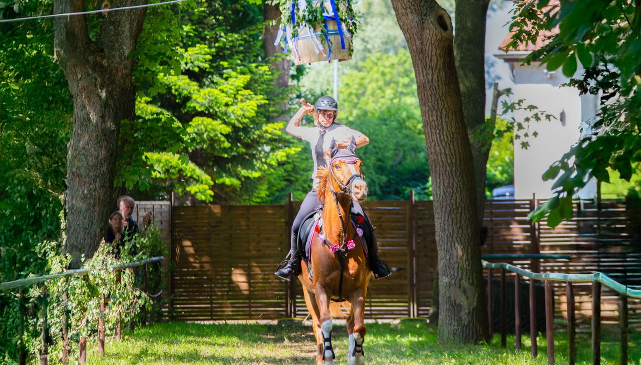 Barth barrel knock-off, © Arndt Gläser (KI erweitert) Barth barrel knock-off, © Arndt Gläser (KI erweitert)