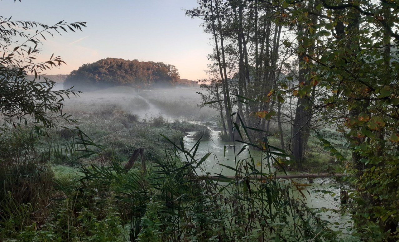 © Andreas Ermisch © Andreas Ermisch