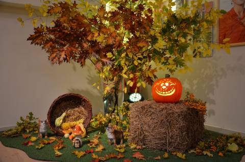 © 6_Herbstball_241026_Foto.jpg © 6_Herbstball_241026_Foto.jpg