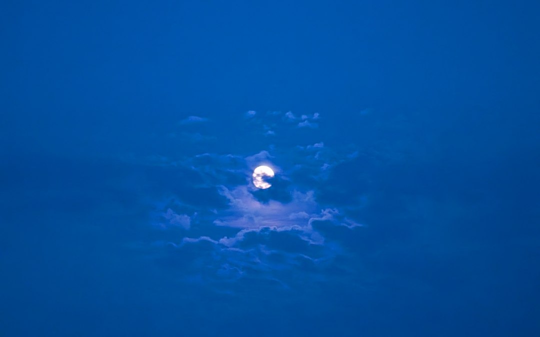 Full moon hike_KV, © Kurverwaltung Mönchgut