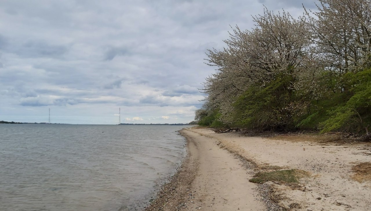 Devin, &copy; TZ HST / Kredl