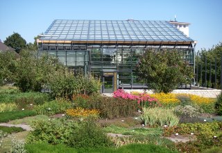 Broeikas in de botanische tuin, © Joachim Kloock