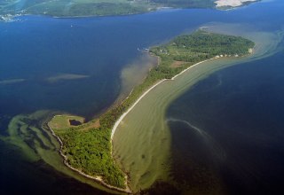 typisch voor het eiland Vilm - knoestige eik // © Tourismuszentrale Rügen typisch voor het eiland Vilm - knoestige eik // © Tourismuszentrale Rügen