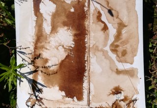 &copy; Kur- und Tourismusbetrieb Ostseebad Prerow