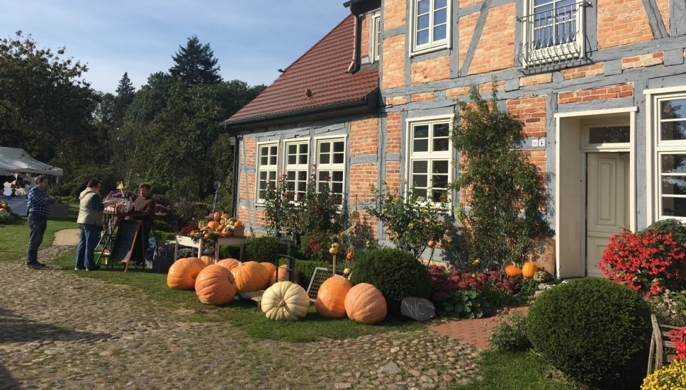 Pumpkins everywhere at the pumpkin festival in Alt Guthendorf // © Martin Hagemann Pumpkins everywhere at the pumpkin festival in Alt Guthendorf // © Martin Hagemann