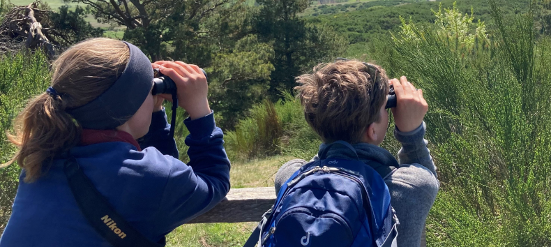 © Katrin Bärwald © Katrin Bärwald