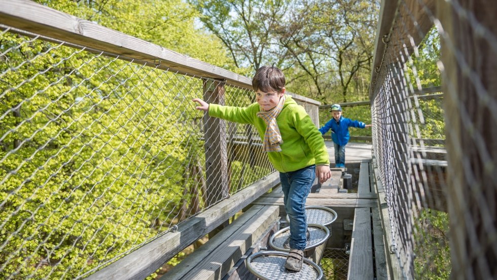 Verschillende stations om te balanceren en dingen uit te proberen zorgen voor afwisseling op het houten pad., © Erlebnis Akademie AG / Naturerbe Zentrum Rügen