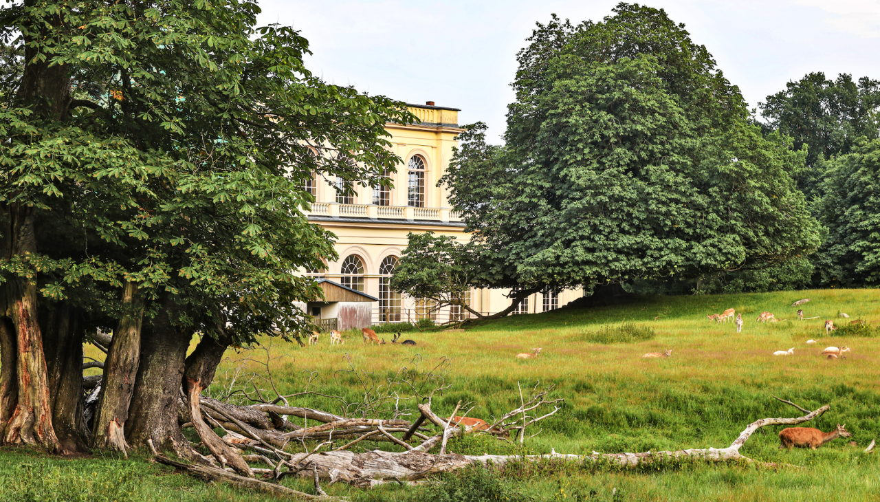 vergrendelen-opslaan-naar-putbus_1, © TMV/Gohlke vergrendelen-opslaan-naar-putbus_1, © TMV/Gohlke